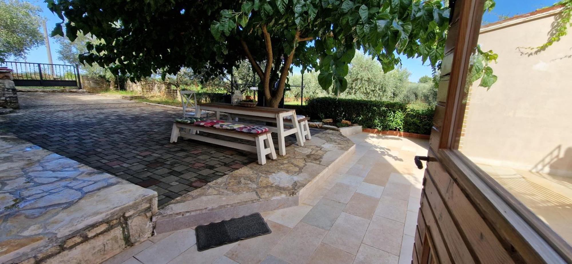 Villa Mimosa Novigrad Istria Exterior foto